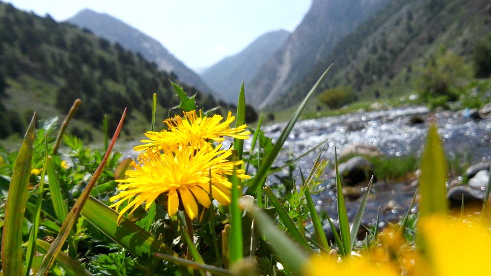 Photograph by Anetta Kopenkina