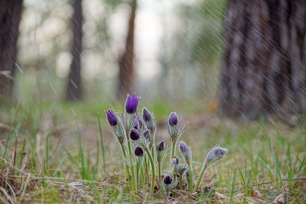 Photograph by Александр Попов