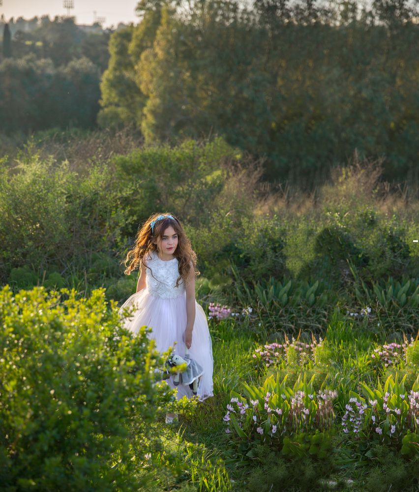 Алиса в Стране чудес (Alice in Wonderland)