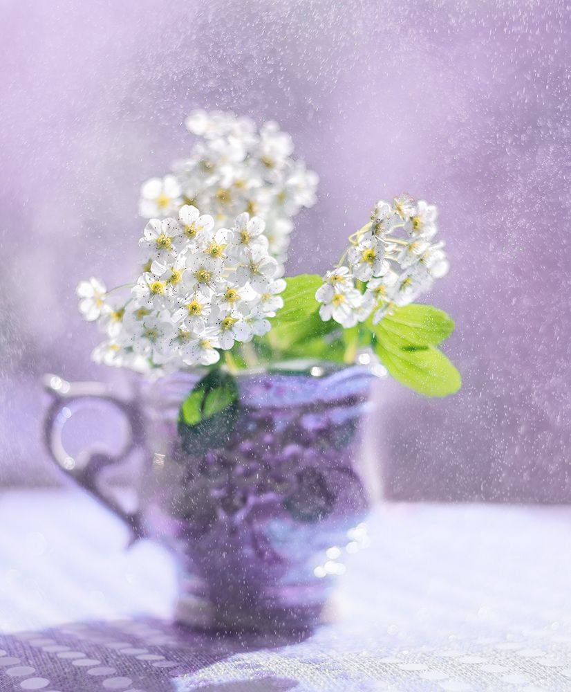 Photograph by Никанорова Ольга