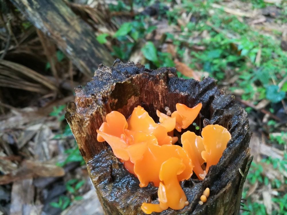 Life in another Life !!