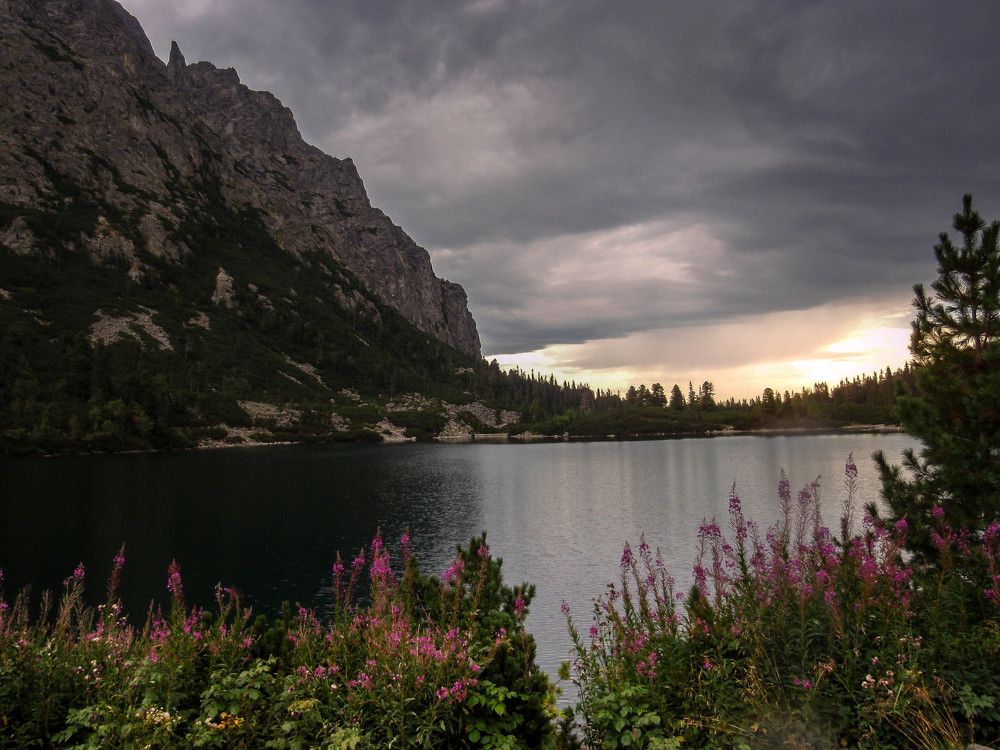 Summer in the High Tatras