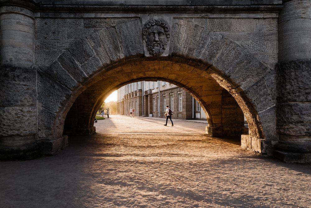 Солнечный свет.