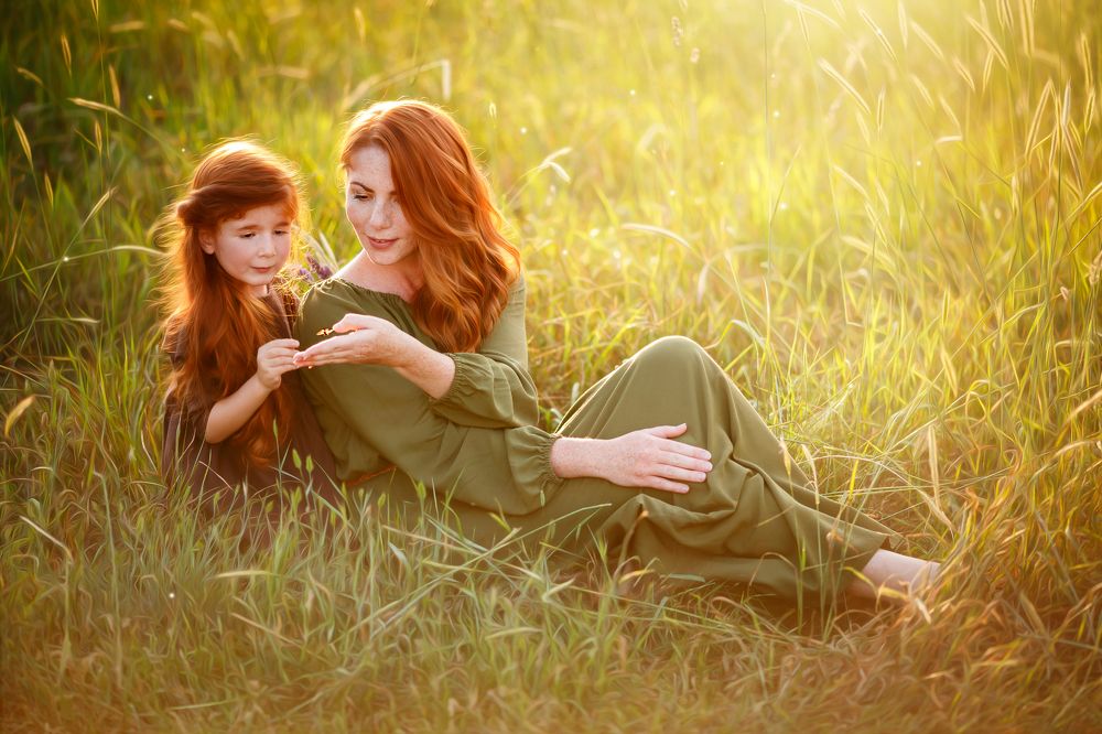 Божья коровка