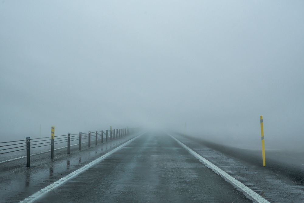 Photograph by Yuliia