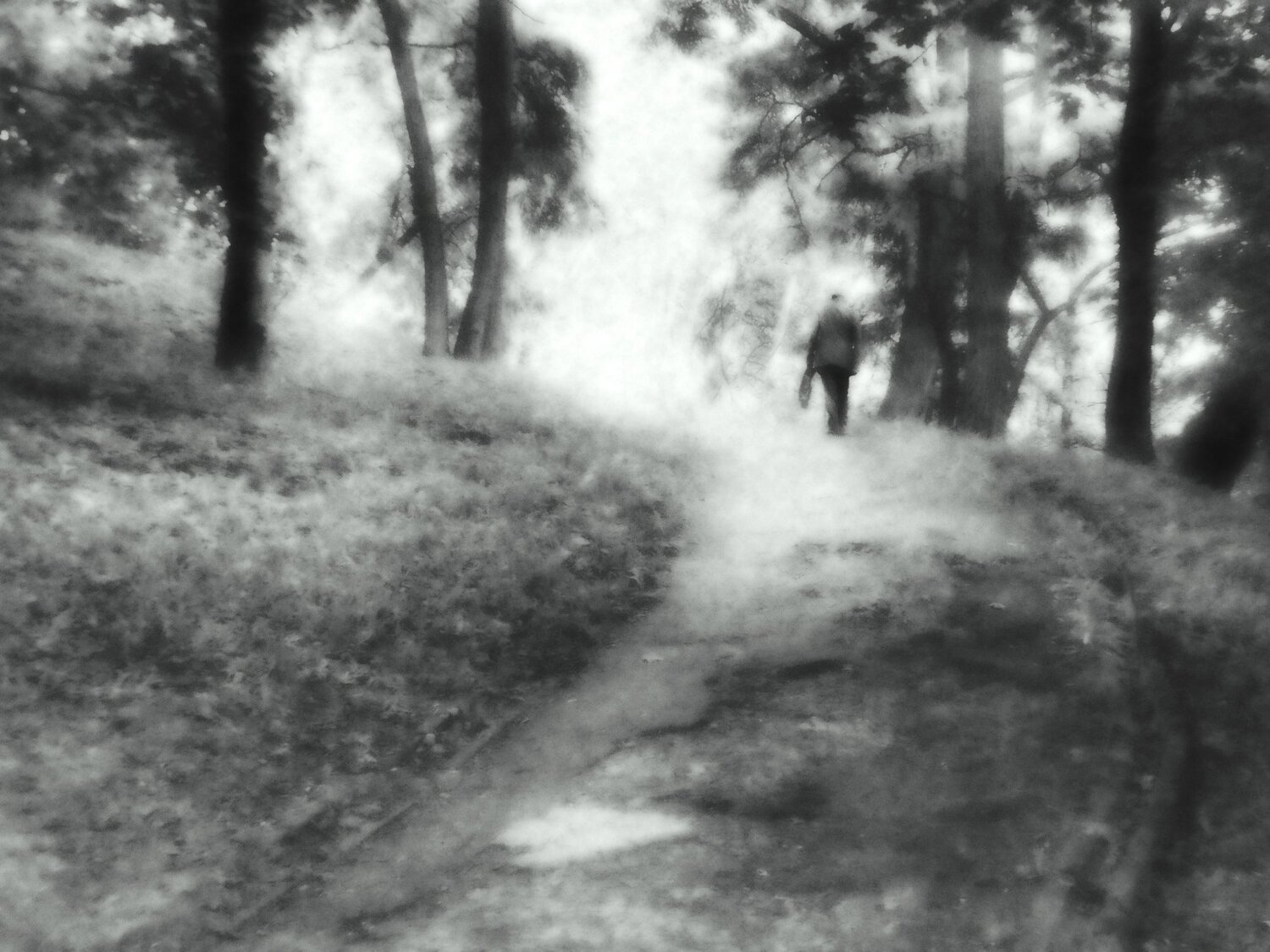 Walking Alone
