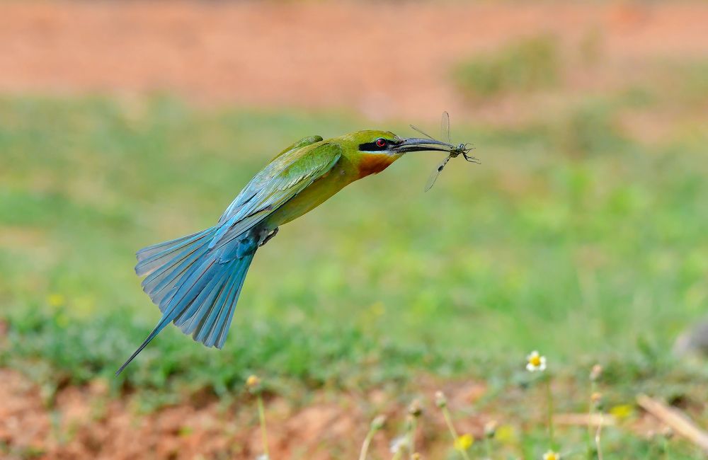 This is for my Child.