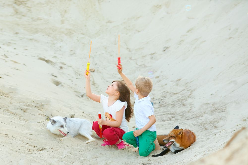 Веселая прогулка