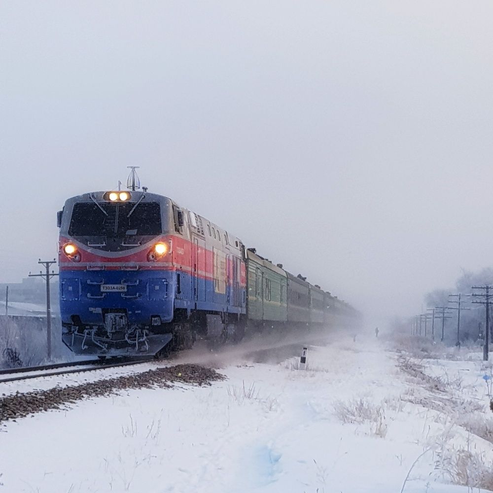 Photograph by Хасенова Екатерина