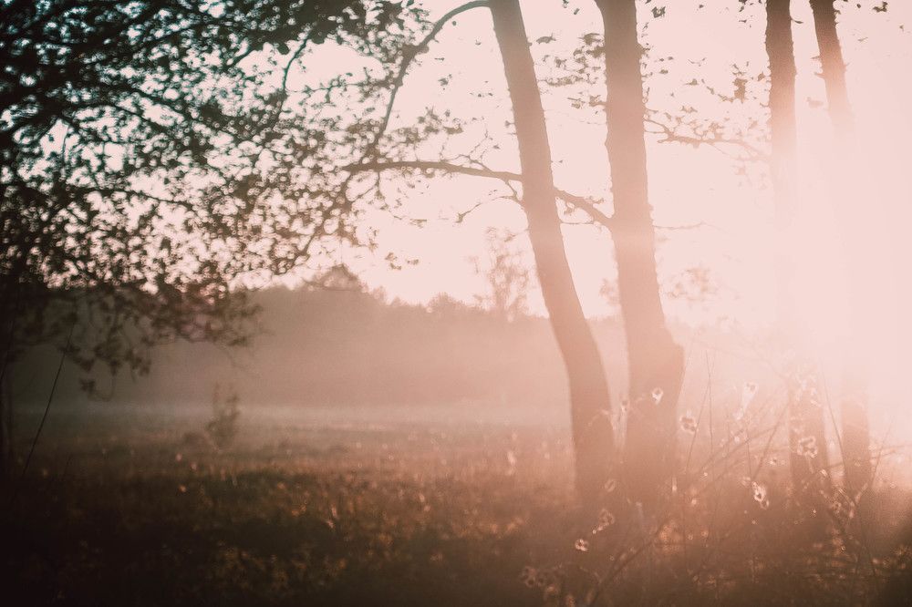 Пробуждение