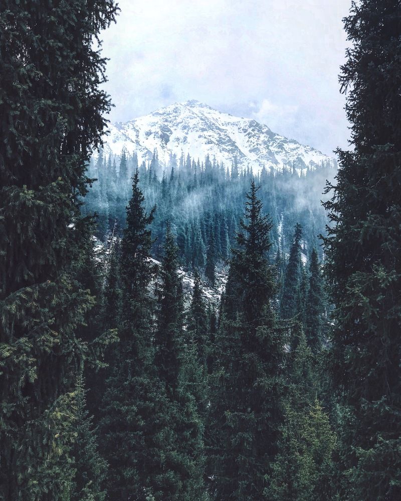 Белая дорога