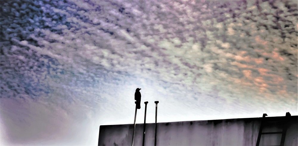 Loneliness