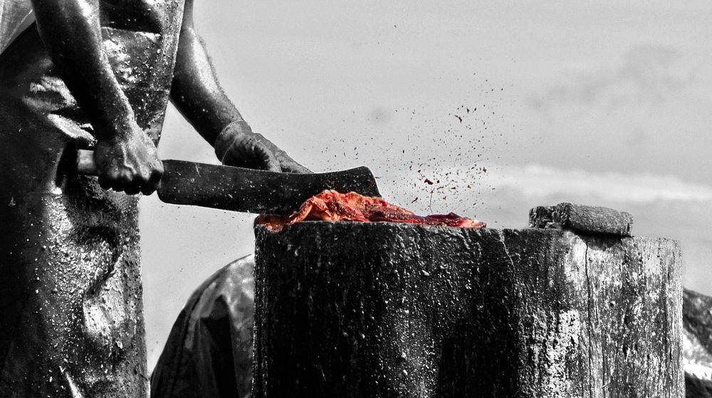 Dead life Tell No Tales