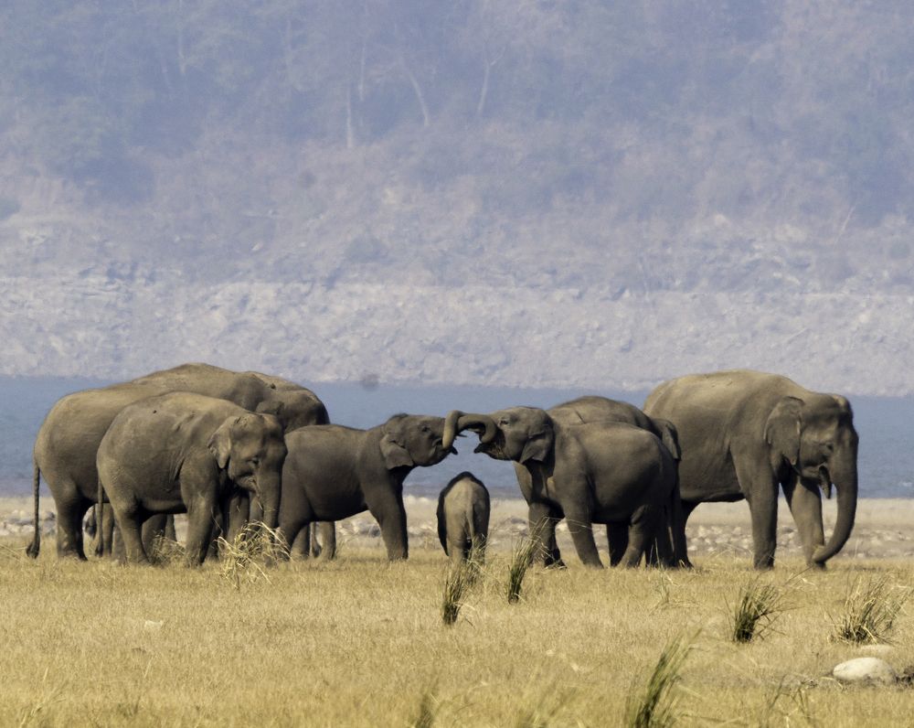 WARM WELCOMING CEREMONY