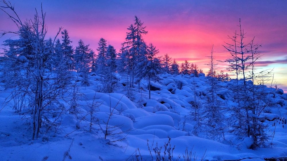 Зимний вечер