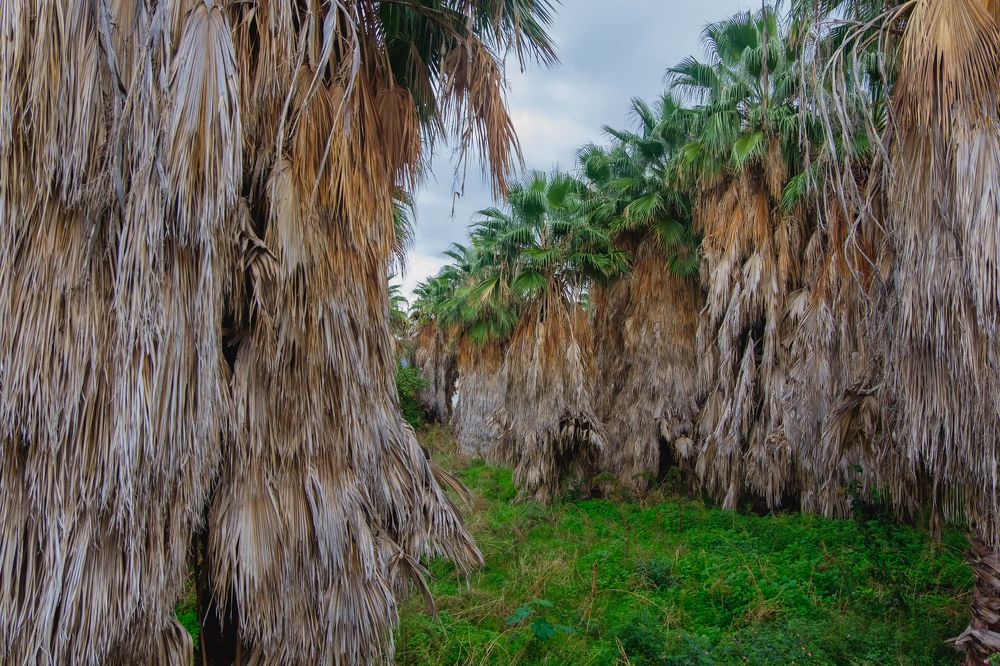 Photograph by Артем Дубровин