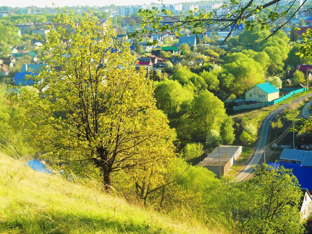 Город Бугульма.  Сокольская гора
