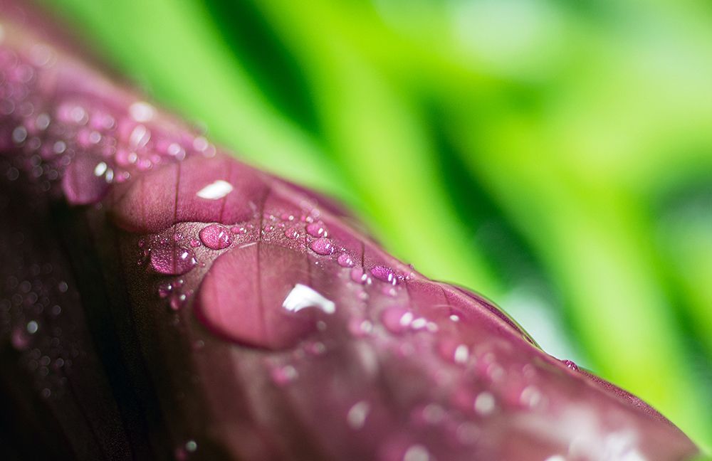 Макро геометрия