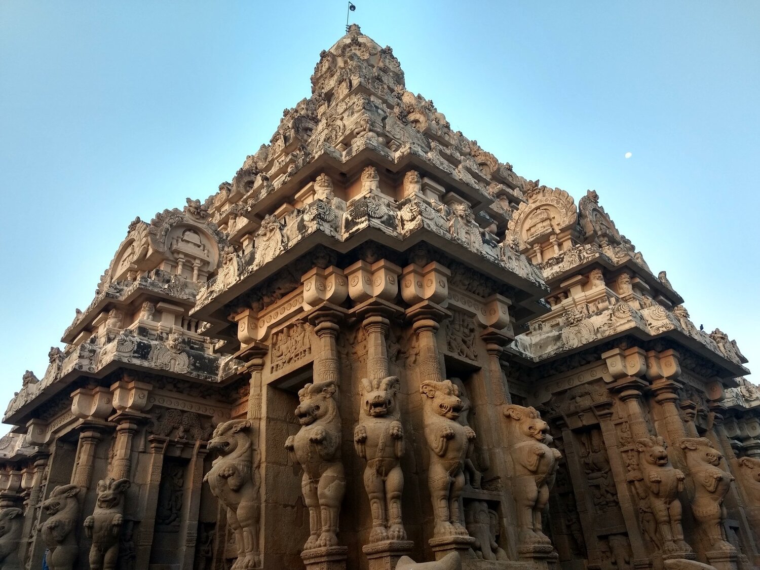 The Temple Top
