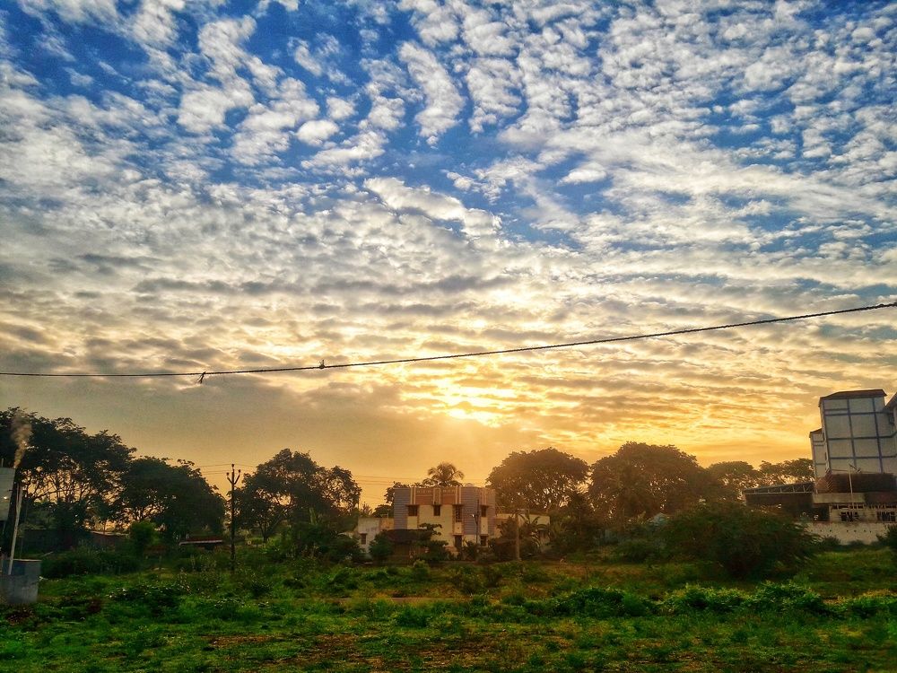 Morning bliss