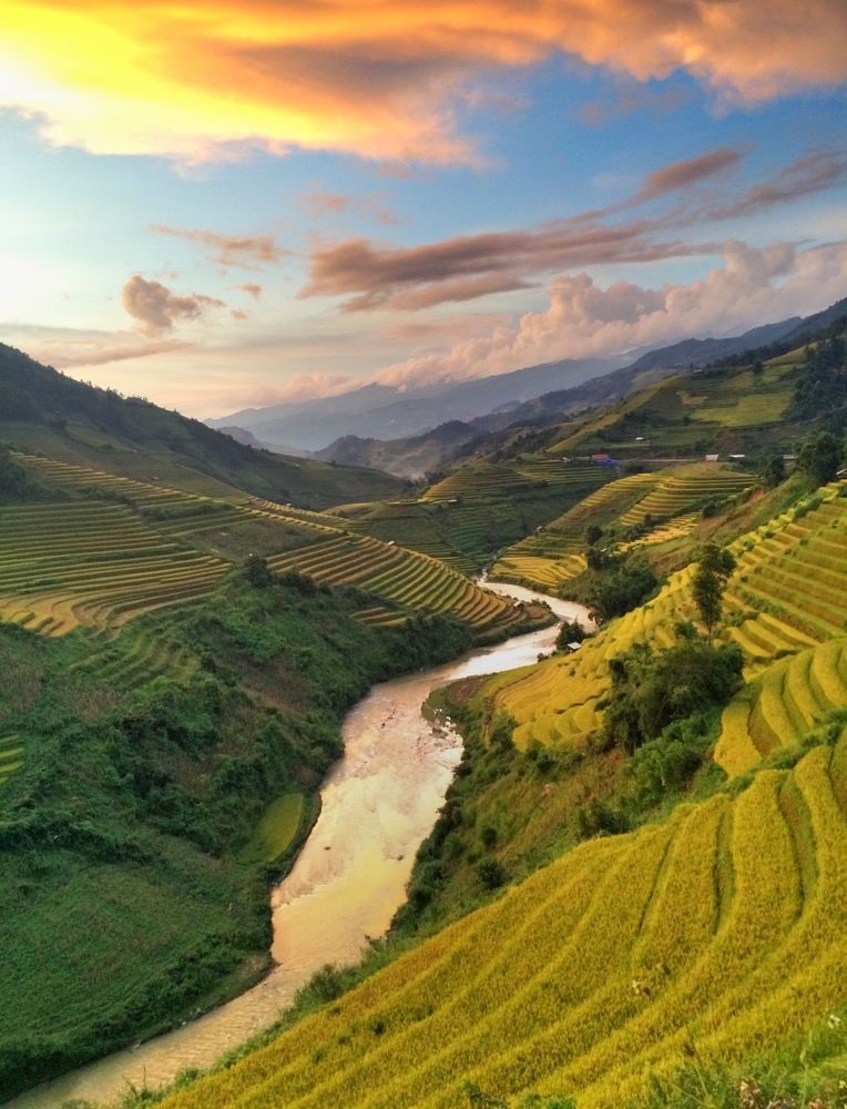 Yellow season in Mu Cang Chai