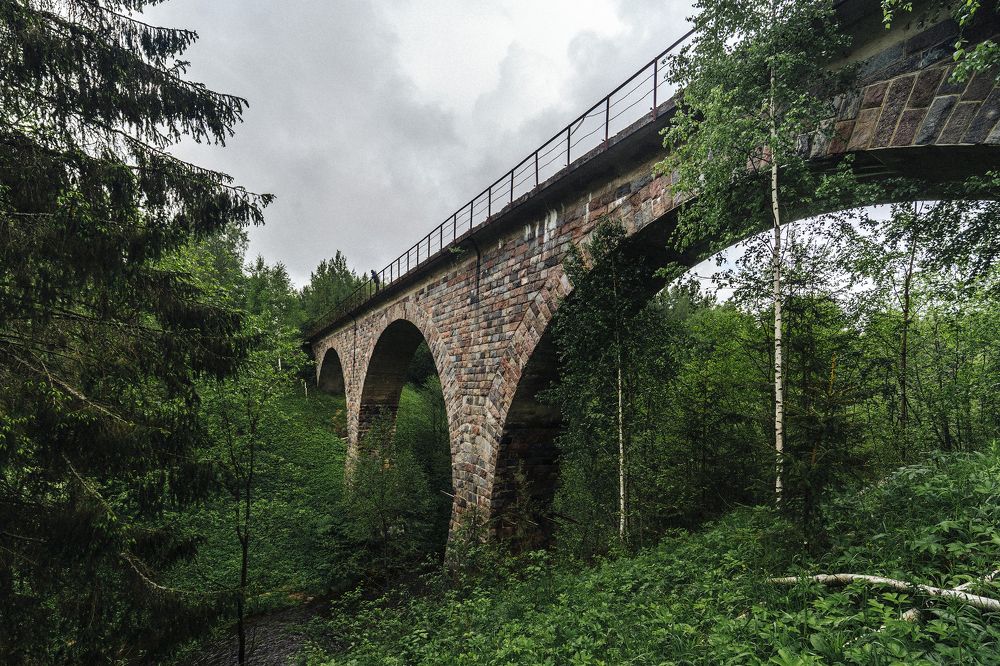 Заброшенная железная дорога Валдай-Крестцы