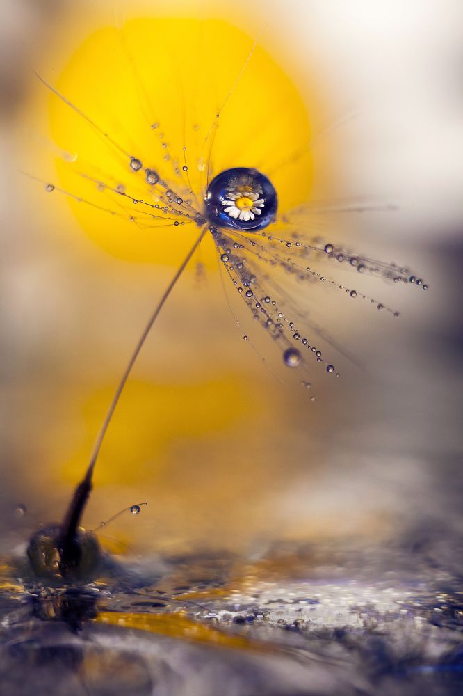 Photograph by Тата Бакбак