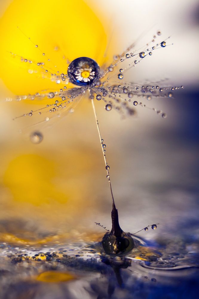 Photograph by Тата Бакбак