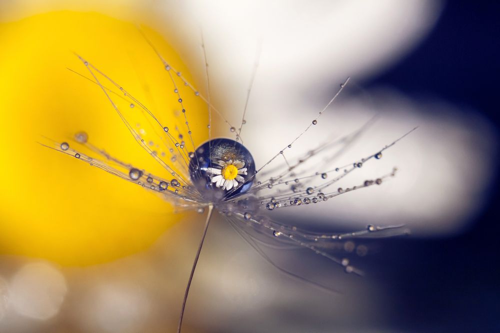 Photograph by Тата Бакбак