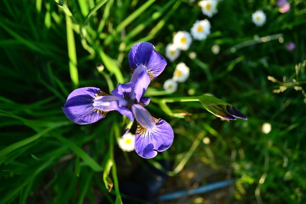 Photograph by Замазкин Графф