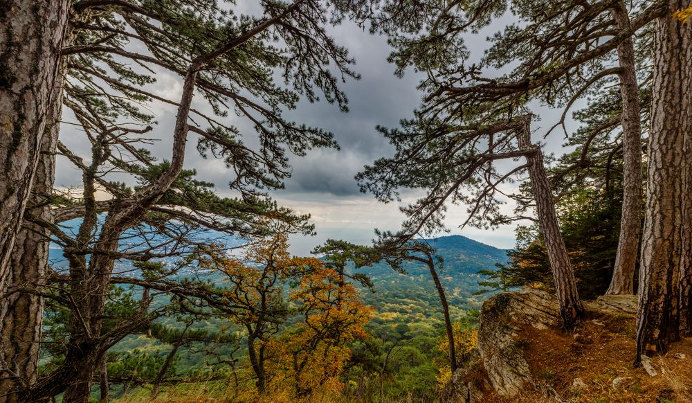 Дорога на Ай-Петри