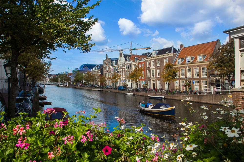 Утро в Лейдене