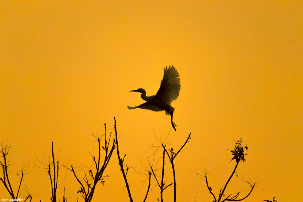 Photograph by Aritra Ghosh