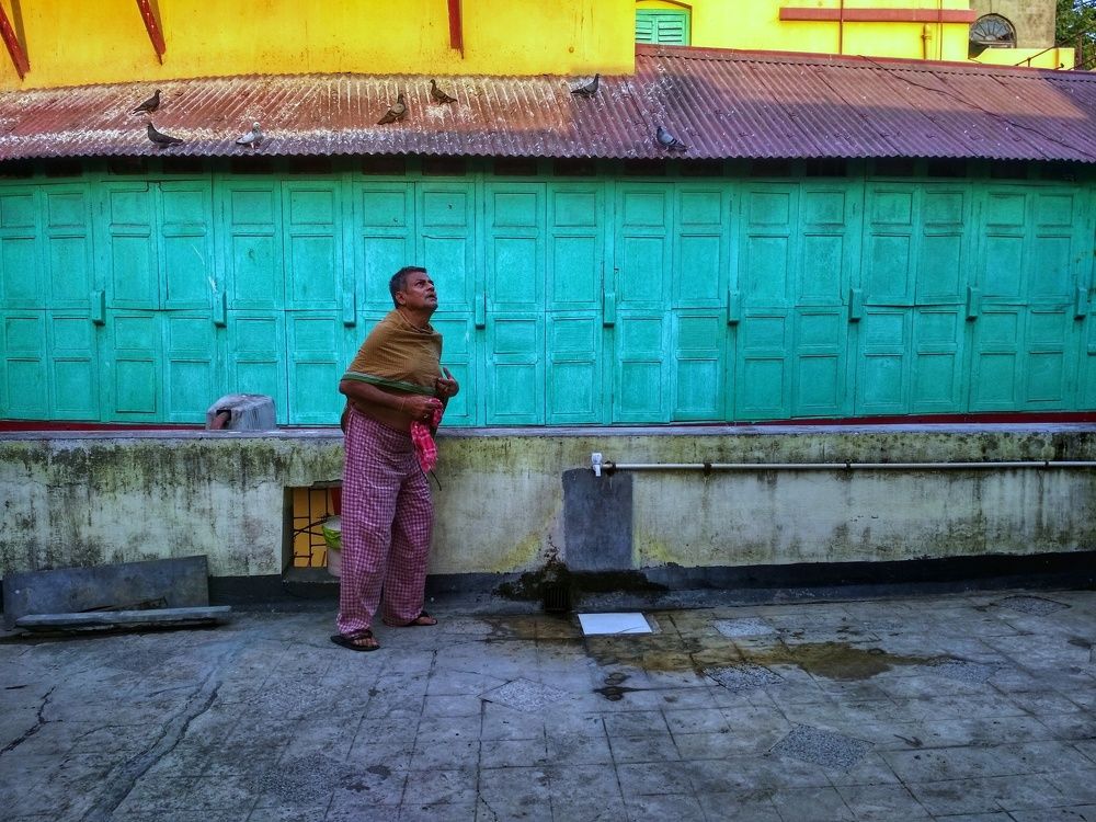 Man looking for pigeons