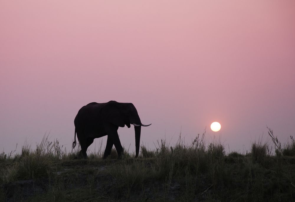 ... and I think to myself: What a wonderful world!