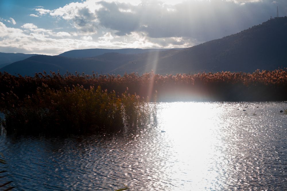 Photograph by Наталья