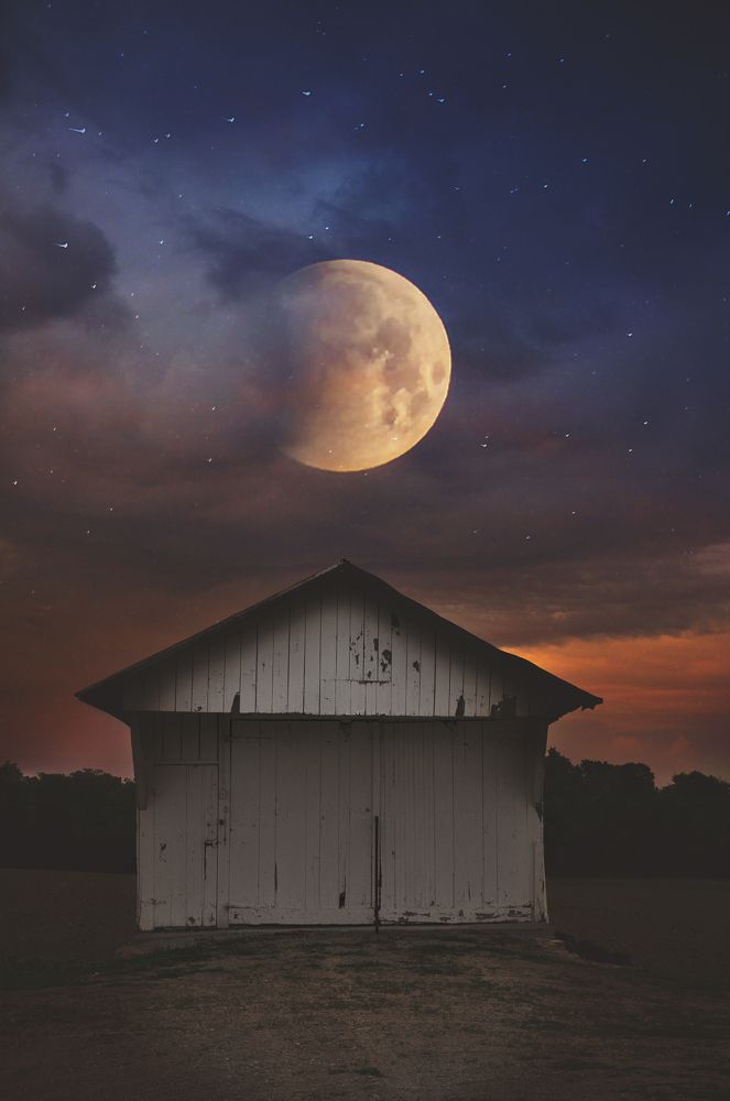 Photograph by Tiffanie Mora