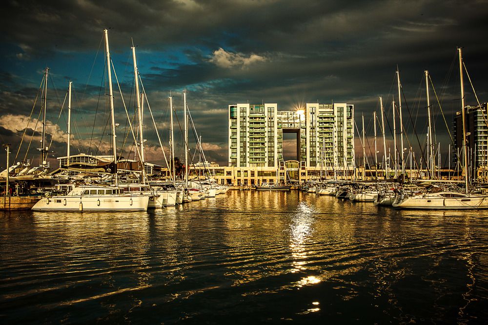 арена - герцлия