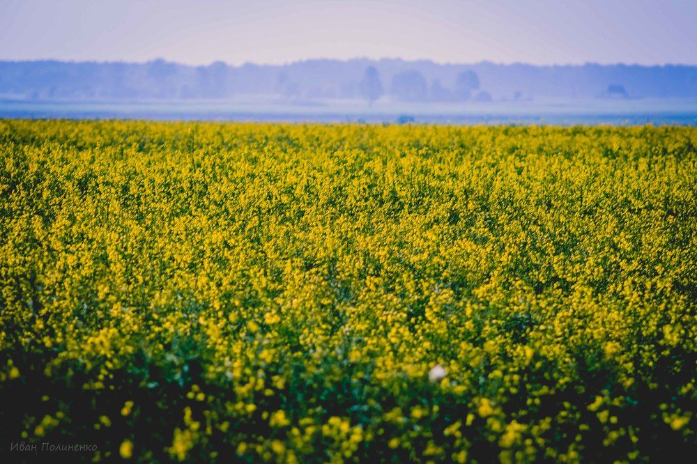 Photograph by Иван Полиненко