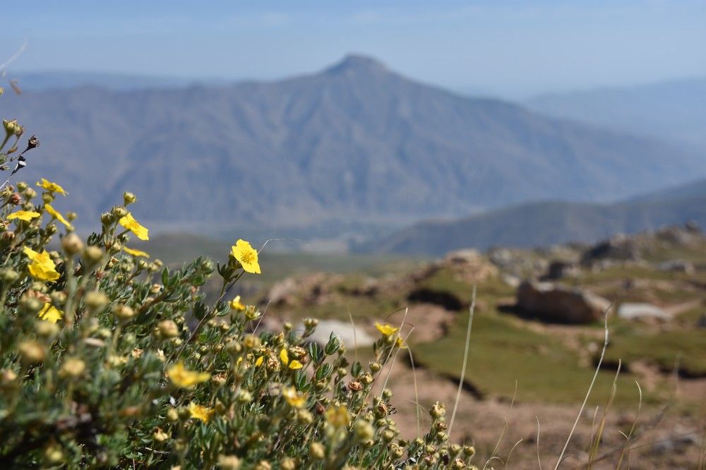 Daghestan, Caucasian mountains