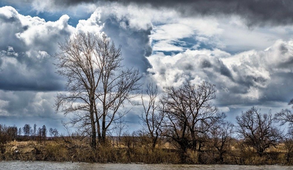 Весеннее утро