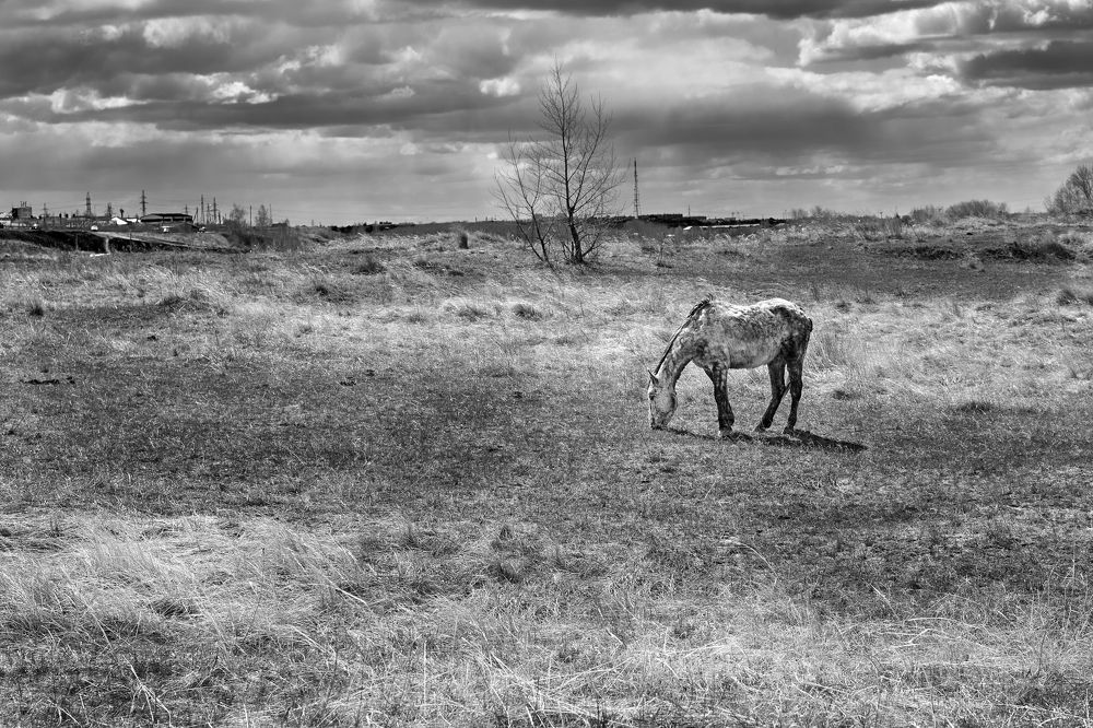 Photograph by Сергей