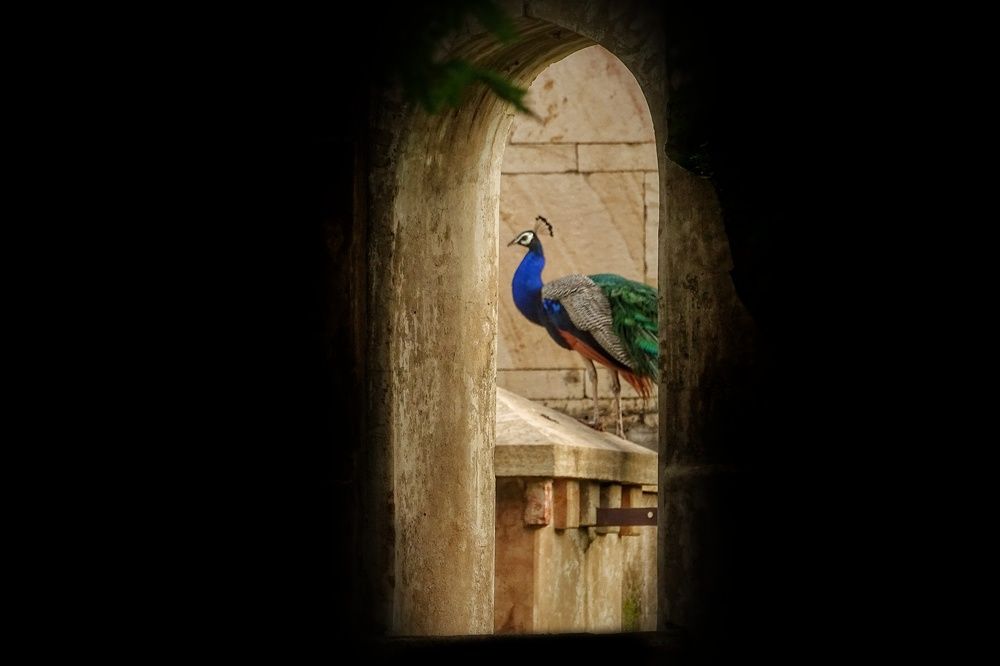 A glory from Windows