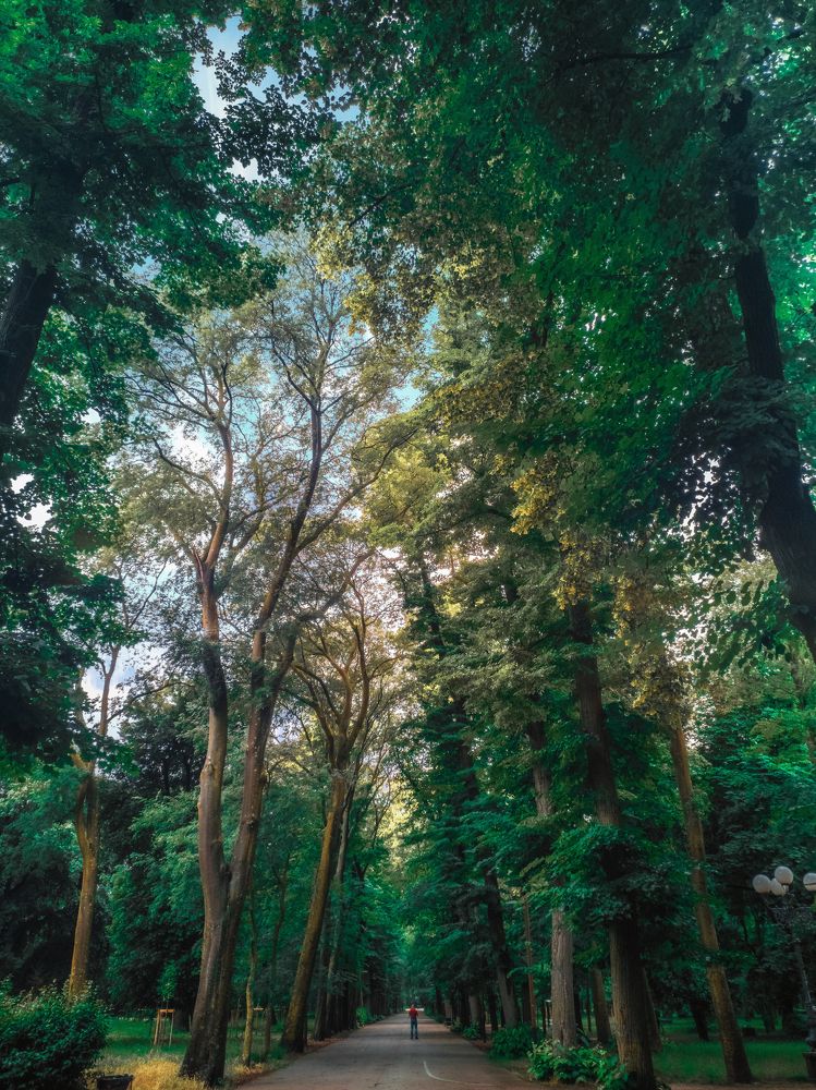 Парк Флоренции