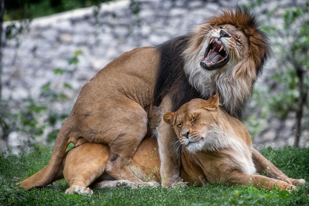 Фотография автора Юрий Юрьев