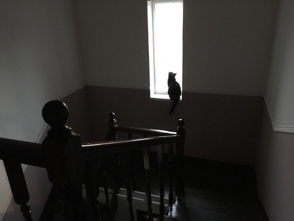 созерцание