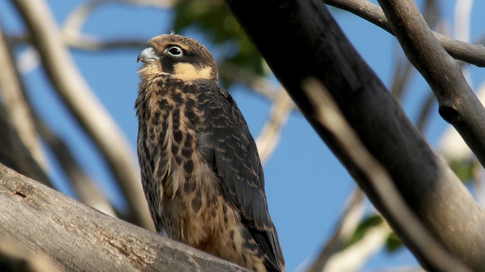 В ожидании солнца