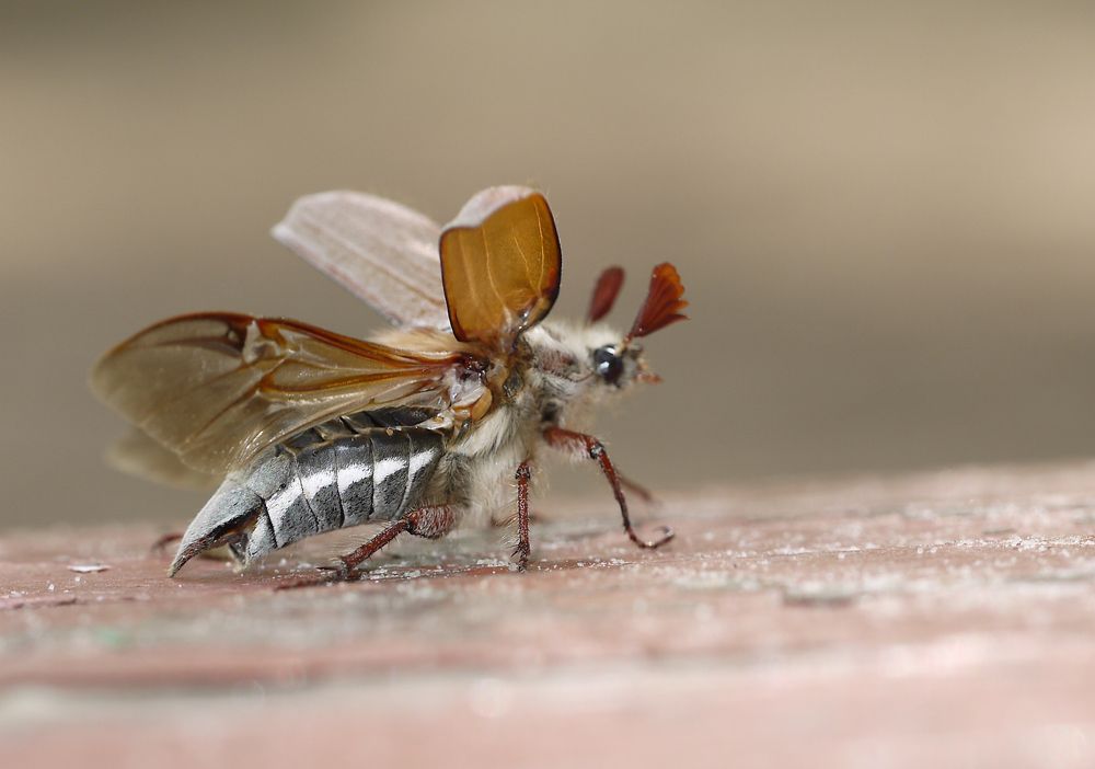 Photograph by Тим Талер