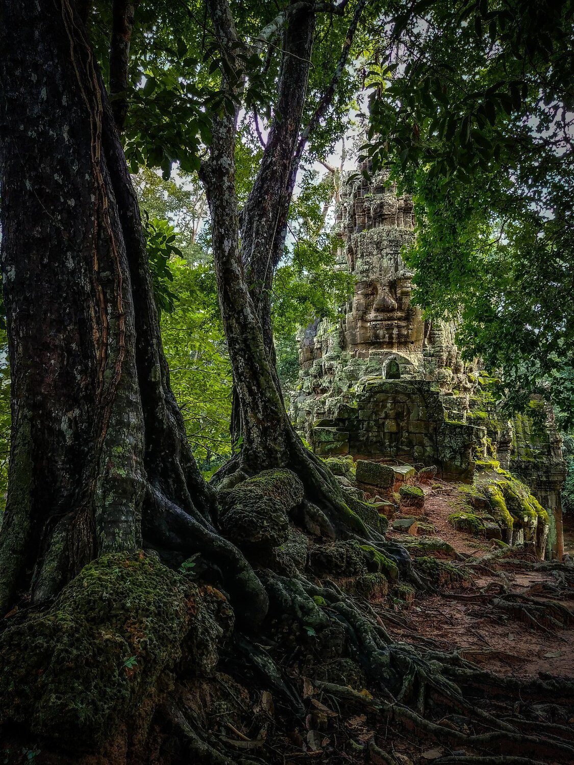 Ancient Smile of Angkor Wat