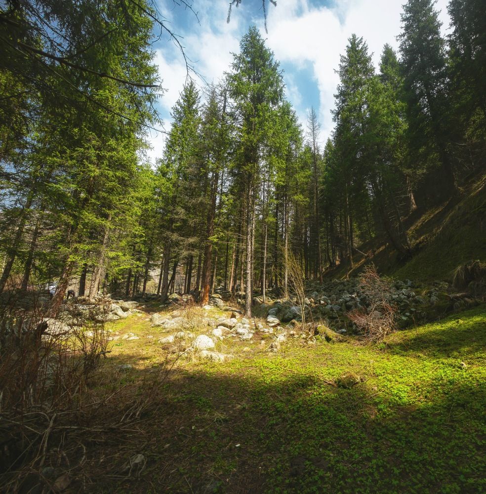 Ущелье Казачка